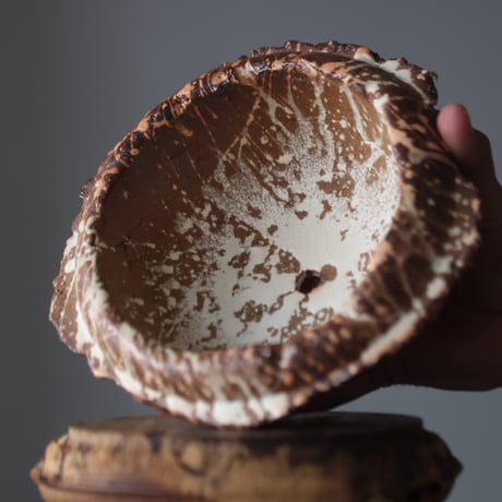 Naoto Hirata / humanity pot   no.818-19