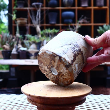 Mie  Maeda 〝seals″   /   humanity pot       no.543