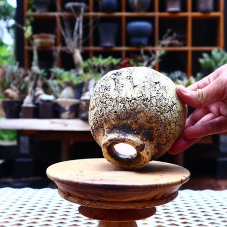 Kaori  Ono 〝 gaia″   /   humanity pot       no.525