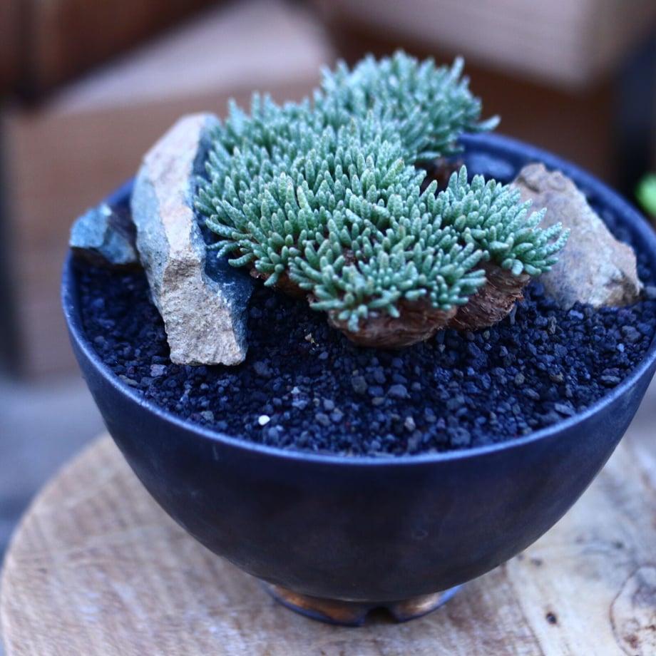 617e15779dbfee76f51c05b2