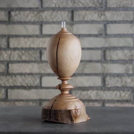 □芽の巣山購入 安西桂 鉢6500 □芽の巣山購入 安西桂 鉢6500 □芽の巣山購入 安西桂