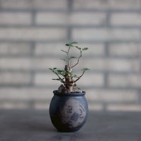 N/OH［澪標-芽の巣山別注］山ノ月ブラック　Mサイズ N/OH【澪標-芽の巣山別注】山ノ月ブラック+ moon / S no.515109 |