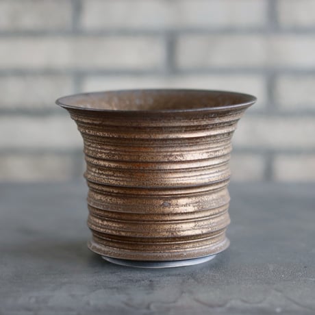 CATEGORY たけろうポット | 芽の巣山