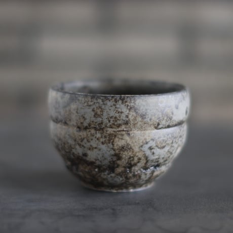 TAKERO POT / Shirosabi  (4号)   no.803-84