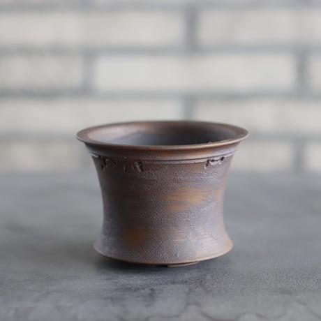 CATEGORY 3.5号鉢 | 芽の巣山