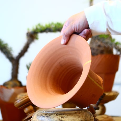 N/OH / ラン鉢 / Persimmon + Line / M    no.317-87