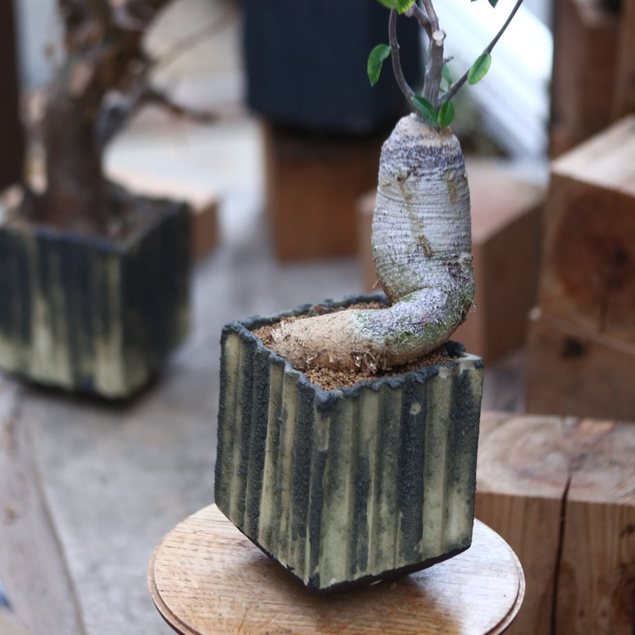 6414efb8418fdf003777e658