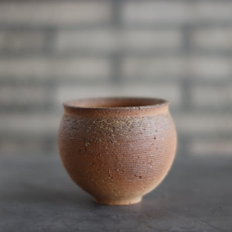 たけろうポット / 大鉢 / シロサビ たけろうポット / 大鉢 / シロサビ no.612-T11 | 芽の巣山