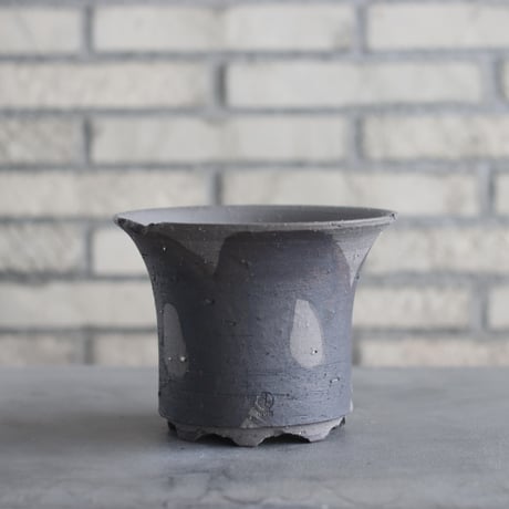 CATEGORY N/OH | 芽の巣山