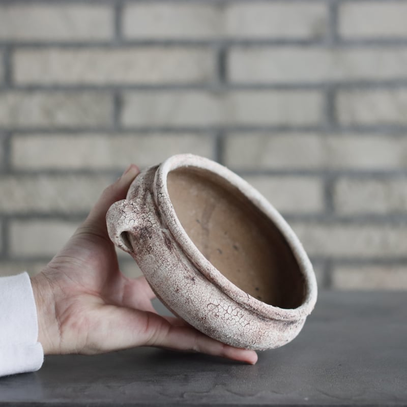 Shin Tabata / humanity (6号) no.301-7 | 芽の巣山