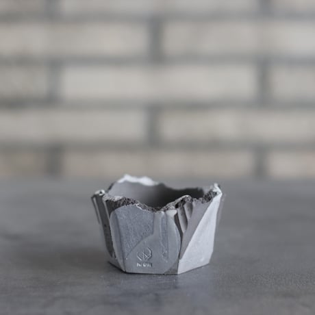 CATEGORY 2.5号鉢 | 芽の巣山