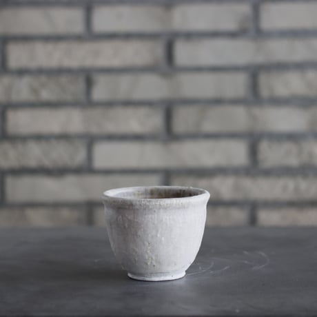 CATEGORY 3.5号鉢 | 芽の巣山