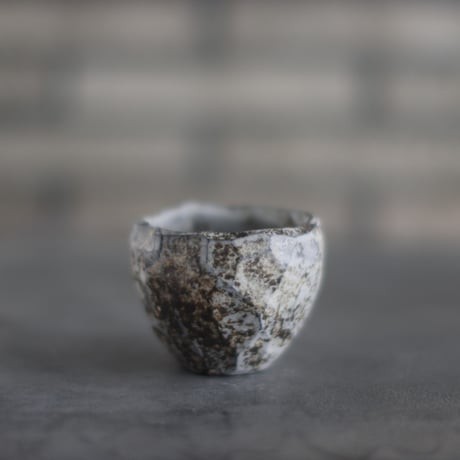 TAKERO POT / Shirosabi  (2.5号)   no.803-105