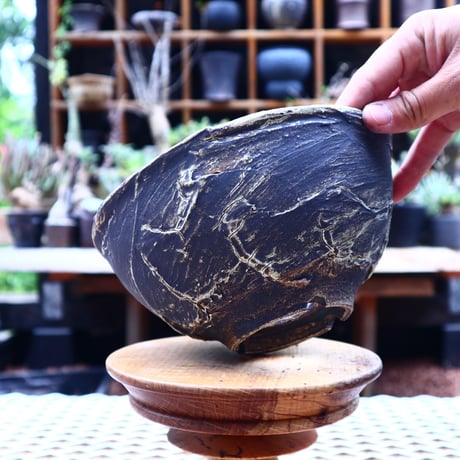 Masato  Akutsu 〝graffito″   /   humanity pot       no556