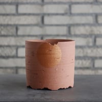 N/OH / ラン鉢 / Strokes / B.B. / SS (3.5号) no.222