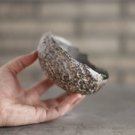 TAKERO POT / Chigiri / Shirosabi (浅鉢) / L (4号) no.928-28