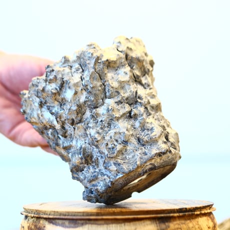 Yuta Uchida / silver rust monst / humanity pot    no.1231-80