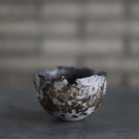 CATEGORY 2025/9/28 20:00~ | 芽の巣山