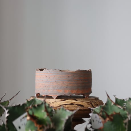 N/OH / MARBLE NOHBLE / コロ鉢 / SS   no.421-52