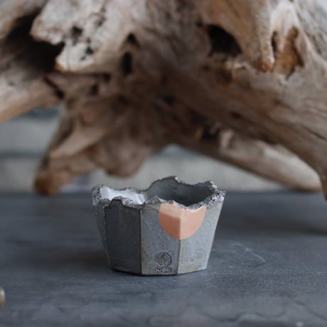 CATEGORY 2025/6/1 20:00~ | 芽の巣山