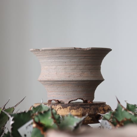 N/OH / MARBLE NOHBLE / M12 / S    no.421-11