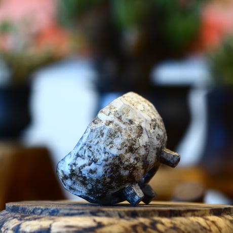 たけろうポット / メントリ/ マメ / シロサビ    no.310-21