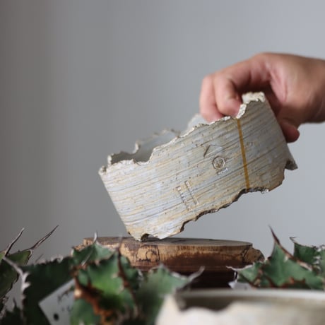 N/OH / MARBLE NOHBLE + Line / コロ鉢 / S   no.421-96