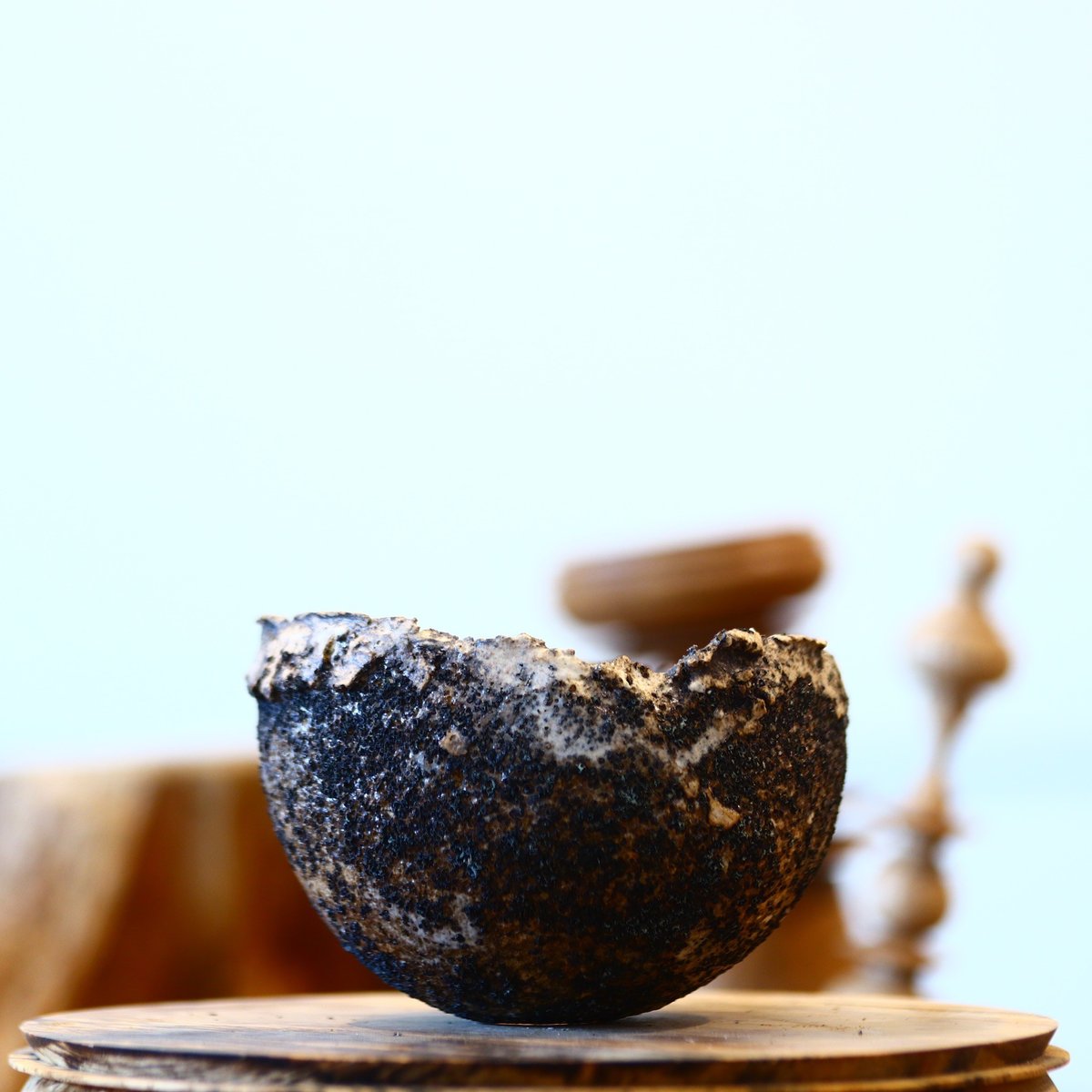 たけろうポット / ちぎり/ 白サビ / ツブ / S no.211-23 | 芽の巣山