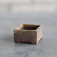 KEI CONDO (盆栽鉢1.5号) / twinz bonsai  no.1116-85