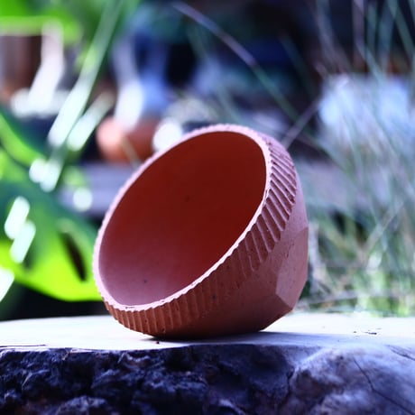 N/OH   INORI / SS / persimmon  no.123/16