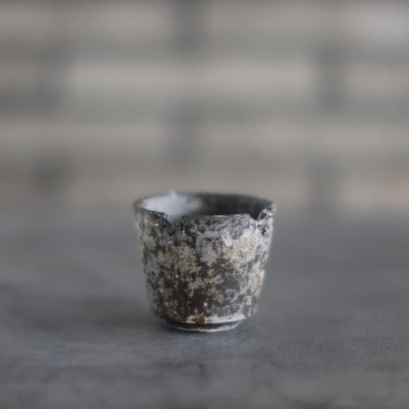 CATEGORY 2号鉢 | 芽の巣山
