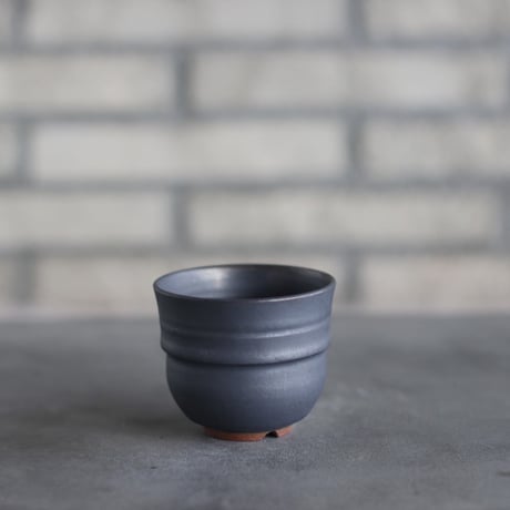 CATEGORY humanity pot | 芽の巣山