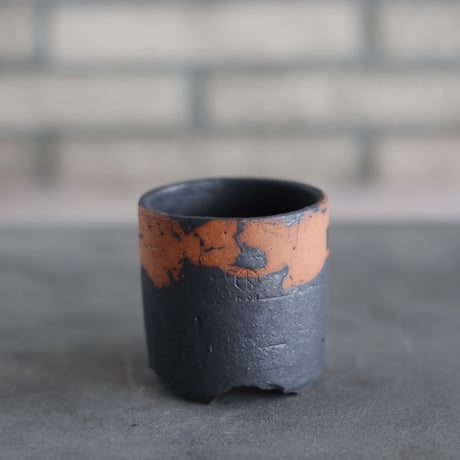 CATEGORY 2.5号鉢 | 芽の巣山