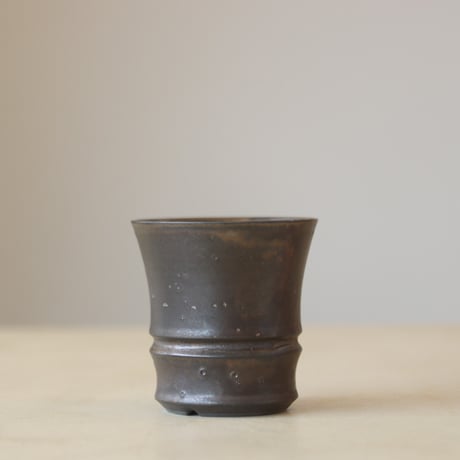 Yuta Uchida / auburns (3号鉢)  no.330-60