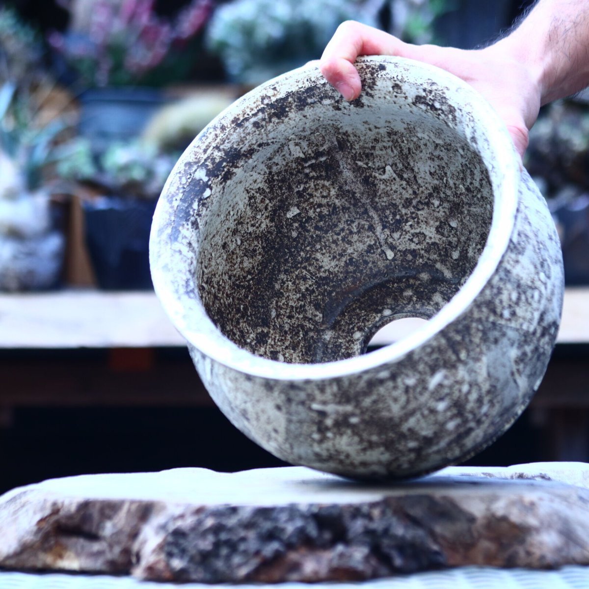 たけろうポット 大鉢 / 壺 / シロサビ no.1226-02 | 芽の巣山