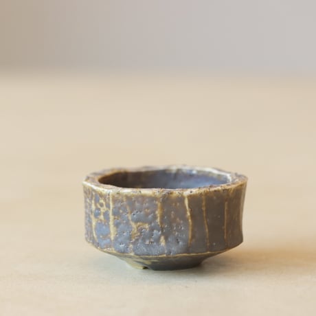 CATEGORY 2025/3/2 20:00~ | 芽の巣山