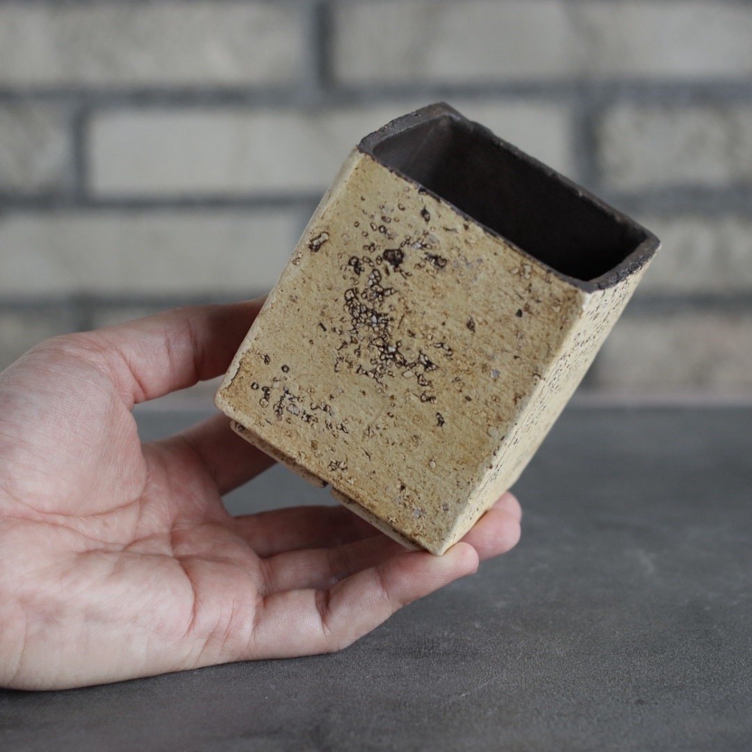 Kaori Ono / gaia / humanity (2.5号) no.517-85 |
