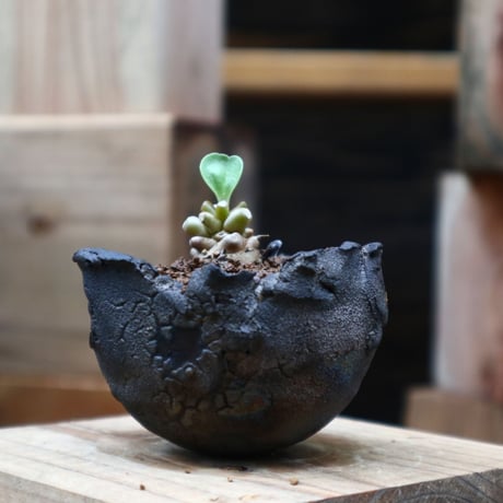 アルミアナ | STORES