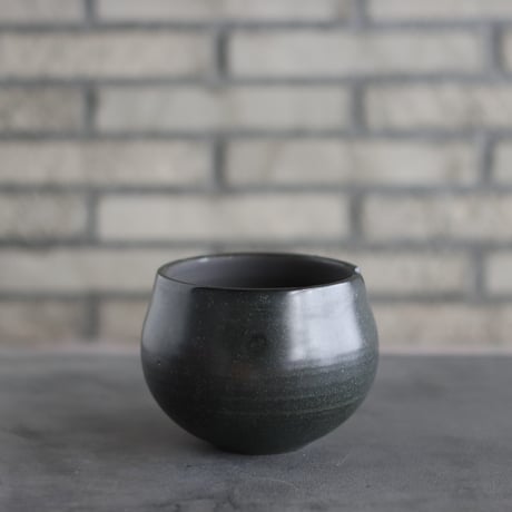 CATEGORY 4.5号鉢 | 芽の巣山