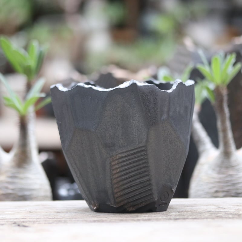 N/OH Tear Drop 鉢 N/oh 鉢 N/OH Tear Drop 鉢 N/OH