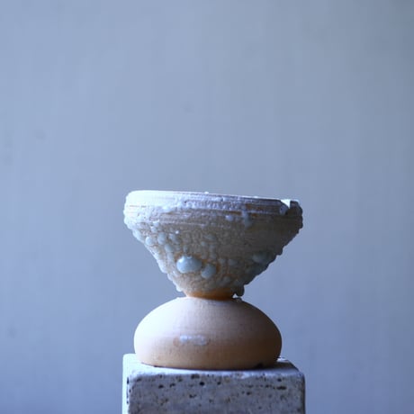 【HAKASEPOT】  DOTCHI ?     no.1227/31