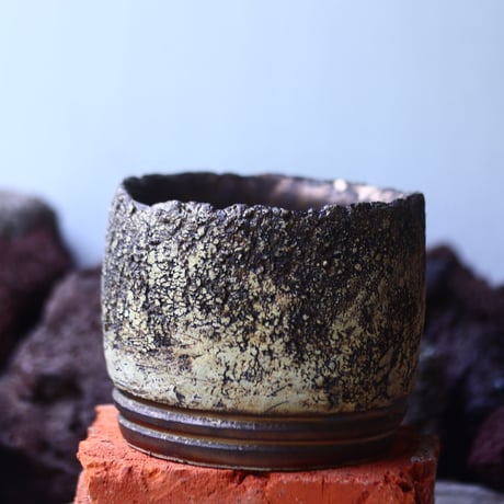 Kaori  Ono 〝gaia″   /   humanity pot       no.42512