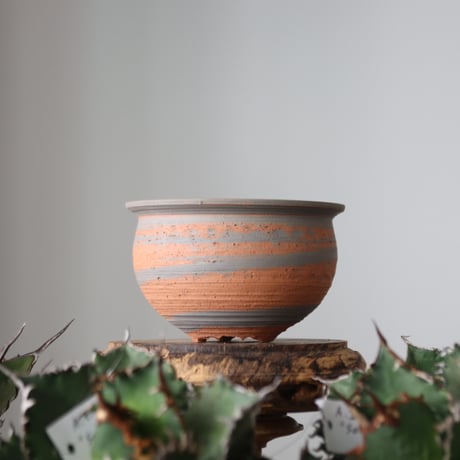 N/OH / MARBLE NOHBLE / コロ鉢 / SS   no.421-49