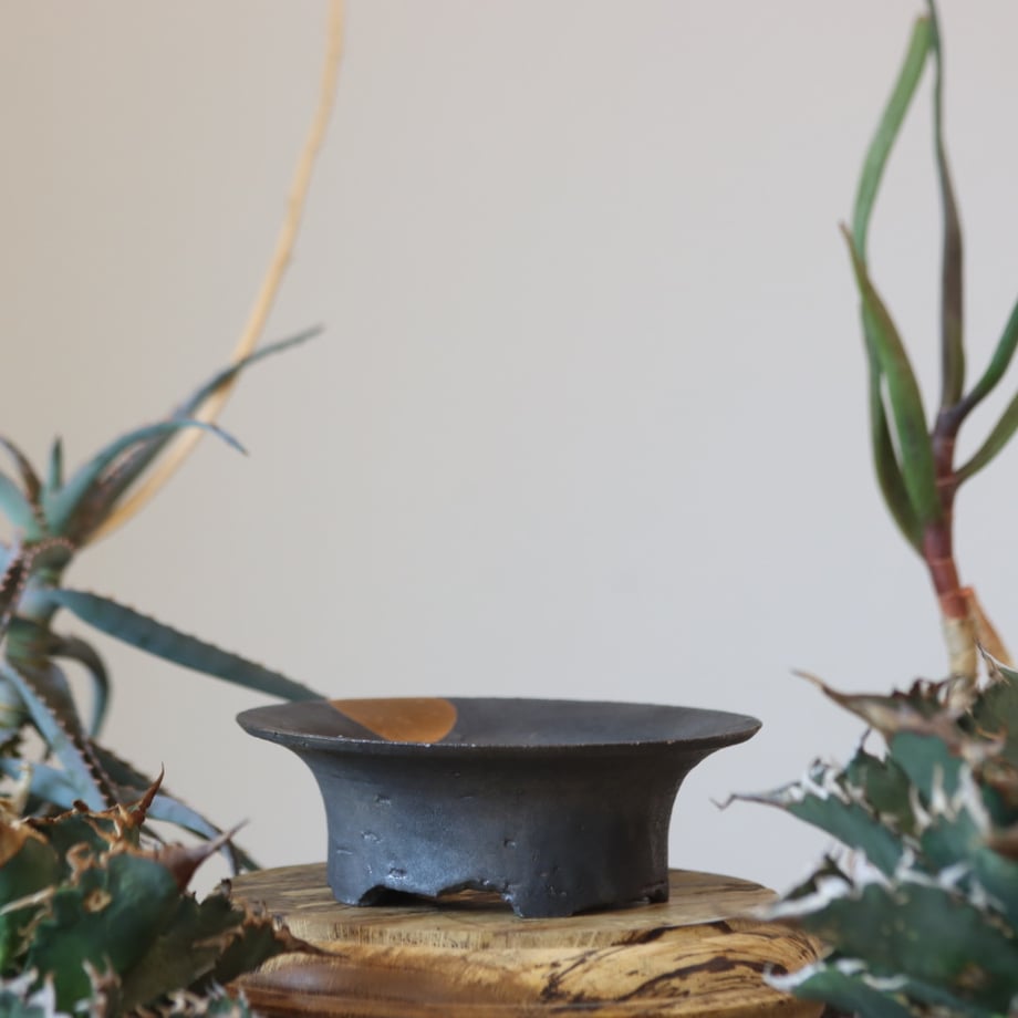 66f7e5686965920280367e32