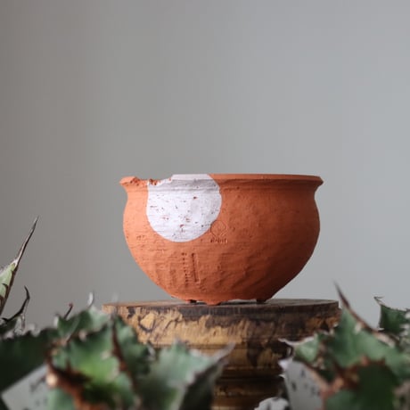 N/OH / コロ鉢 / persimmon + Moon / SS   no.421-125