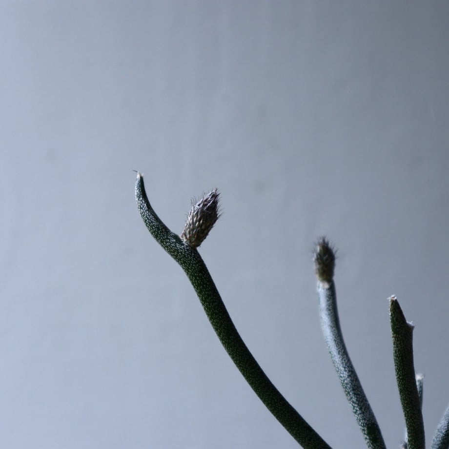 5d282dc608382938b282935d