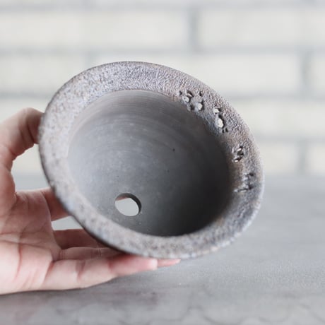 TAKERO POT / モミ / (4.5号) no.1116-39