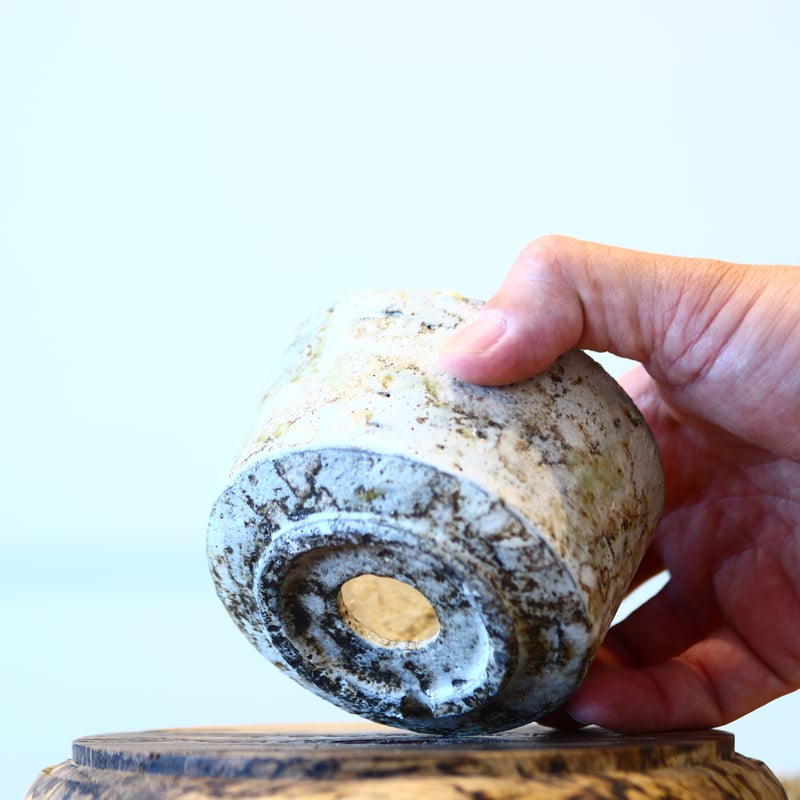 たけろうポット / 大鉢 / シロサビ たけろうポット / ちぎり/ 白サビ / ツブ / S no.211-20 | 芽の巣山
