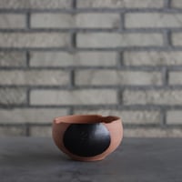 たけろうポット/ シロサビ no.414-13 | 芽の巣山