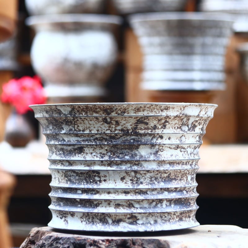 たけろうポット / 大鉢 / シロサビ たけろうポット / 大鉢 / シロサビ no.612-T11 | 芽の巣山